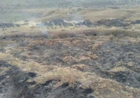 Erzurum'da kendiliğinden yanan toprak