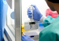 Yeni salgın alarmı: Kuş gribi!