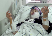 Erzurum'da kurt dehşeti: 1'i ağır 4 yaralı