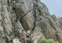 Bitki toplarken uçurumdan düşen kişi hayatını kaybetti