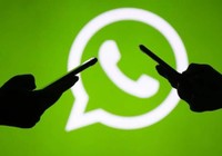 WhatsApp’a kullanıcı adı özelliği geliyor