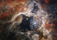 Çin uzaya balık gönderecek