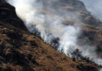 Gümüşhane'de yangın! 2 hektarlık otluk ve çalılık alan küle döndü