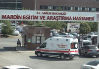 Mardin’de TIR’la önünü kestiği otomobildeki husumetlisini öldürdü