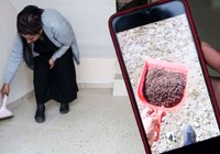 Bir mahalle diken üstünde! Tamamen istila altında; Vatandaşlar artık çaresiz