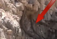Türkiye’de o ilde görüldü! Kıyamet alameti – Görenler gözlerine inanamadı