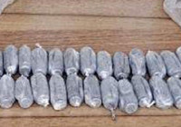 Bağırsak ve iç çamaşırlarından çıktı