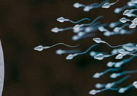 Bilimsel araştırma: Spermler fizik kurallarına aykırı bulundu