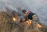 Gümüşhane'de örtü yangını