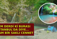 Kimse İstanbul'da olduğuna inanmıyor ama toplu taşımayla bile gidiliyor