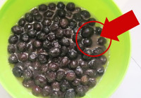 Zeytinin acı aroması nasıl alınır? Yalnızca 2 malzeme yetiyor zeytin pamuk gibi oluyor