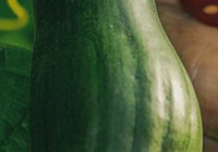 Bugüne kadar çöpe atarak israf ettik: Aslında kütür kütür olmasının sırrı buymuş. Taptaze oluyor