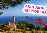 Akın akın Türkiye'deki bu noktaya geliyorlar çünkü en iyi rota seçildi