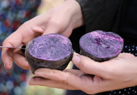 Türkiye’de de kadınlar sıkça tüketmeye başlayacak; Rengine değil fiyatına bakın