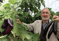 Yazın satmadı, kışın 3 kattan fazla fiyata pazarlıyor