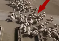 Büyük gizem! Bu görüntüler Amasya’da kaydedildi - Büyük küçük herkes bu olayı konuşuyor