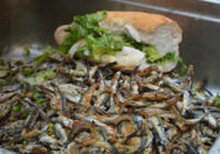 Mardin'de 'Hamsi Festivali'; katılımcılara 1 ton balık ikram edildi