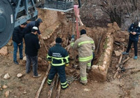 Foseptiğe düşen eşek kurtarıldı