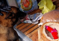 Ekmek arasına gizlenmiş ruhsatsız tabanca bulundu