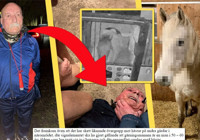 Ata tecavüz eden PKK'lı terörist bakın kim çıktı: 30 yıla kadar hapsi isteniyor