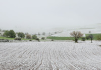 Mayıs ayında beyaza büründüler