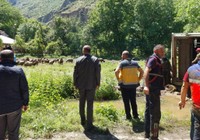 Hakkari-Çukurca yolunda tır devrildi, koyunların hepsi öldü