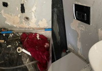 Fotoğraflar Pucca'nın taşındığı daireden... Ev sahibi isyan etti