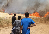 Mardin'de 50 dönüm arpa ve buğday ekili alan kül oldu