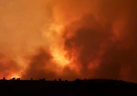 Diyarbakır'daki korkunç yangında ölü sayısı arttı! Bakan Koca'dan açıklama