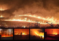 Diyarbakır ve Mardin'deki yangının nedeni belli oldu