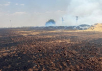 Mardin’de aynı tarlada 4’üncü olay