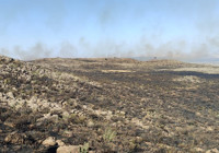 Diyarbakır-Mardin'deki yangın: 7 kişilik bilirkişi heyeti inceleme yaptı rapor bekleniyor