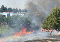 İstanbul Silivri'de yangın: Alevler evlere doğru ilerledi hava desteği istendi