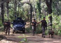Bu ilde ormanlara girişler Ekim'e kadar yasaklandı