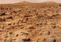 Mars'ta hayatta kalabilecek bir bitki bulundu