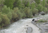 Debisi yükselen dere 21 yaşındaki genci yuttu