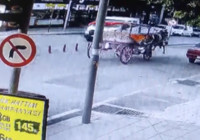 Köpekten ürken at nedeniyle 2 kişi yaralandı