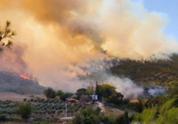 4 ilde orman yangını: Ekiplerin müdahalesi sürüyor