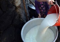 İki bakanlık süt piyasasına yönelik inceleme başlattı