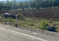 İki otomobilin çarpıştığı kazada 1 kişi öldü