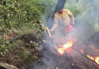 Muğla'da 5 günde 50 yıldırım yangını
