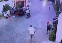 Bodrum'da çöp kamyonunun çarptığı köpek öldü