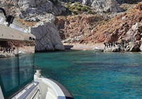 Muğla'da 45 kaçak göçmen yakalandı