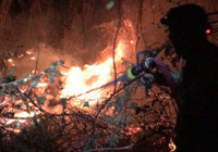 Mersin'de orman yangını