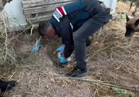 Gaziantep'de zehir tacirlerine baskın: 1 kişi tutuklandı