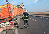 Bariyerlere çarpan TIR’ın dorsesindeki 2 büyükbaş öldü