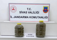 Sivas'ta yolcu valizinden 10 kilo uyuşturucu çıktı