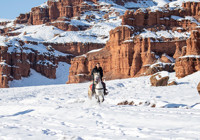 Erzurum 'Kırmızı Periler Diyarı' beyaza büründü