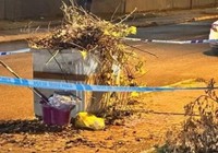 Bebeğini çöpe atan kadından ilginç savunma: "Öldürmek isteseydim  9 ay karnımda taşımaz aldırırdım"
