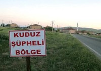 Adıyaman'a kuduz karantinası